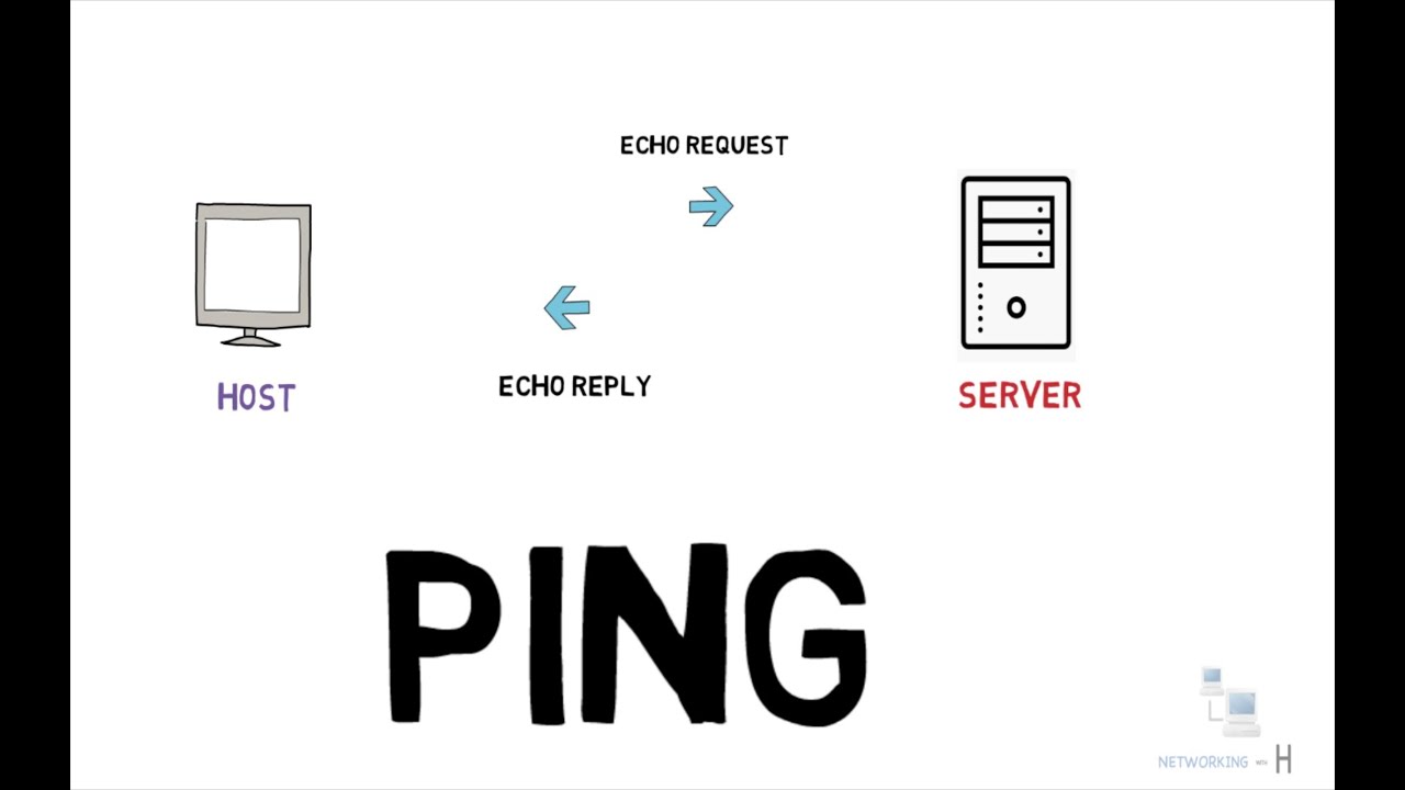 "Ping Tool interface showing website URL input and ping results, including response time and packet loss, helping monitor server connectivity."