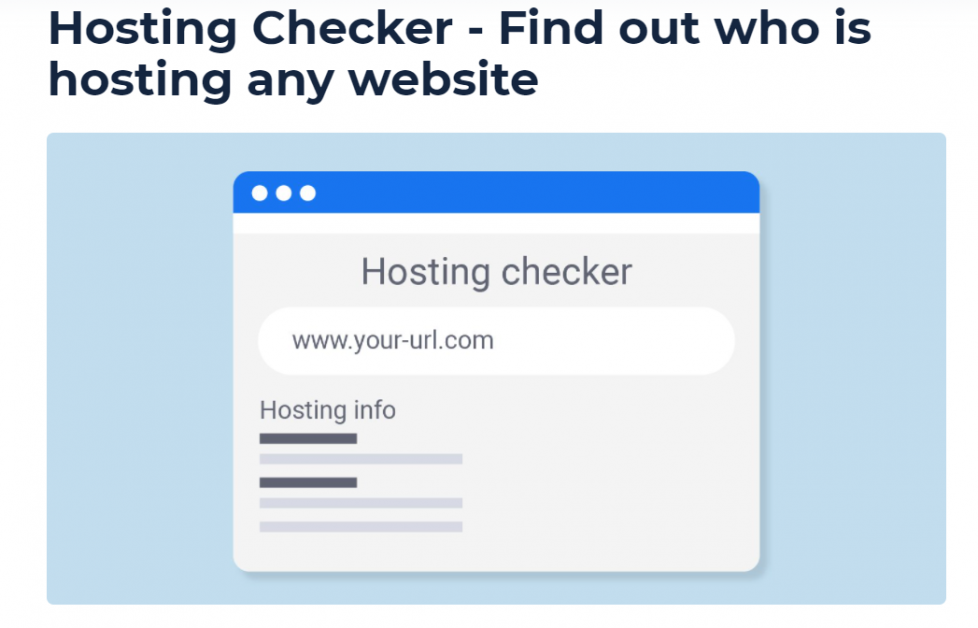 Illustration showing a website hosting checker tool analyzing a domain name to reveal hosting provider, server details, and IP address.
